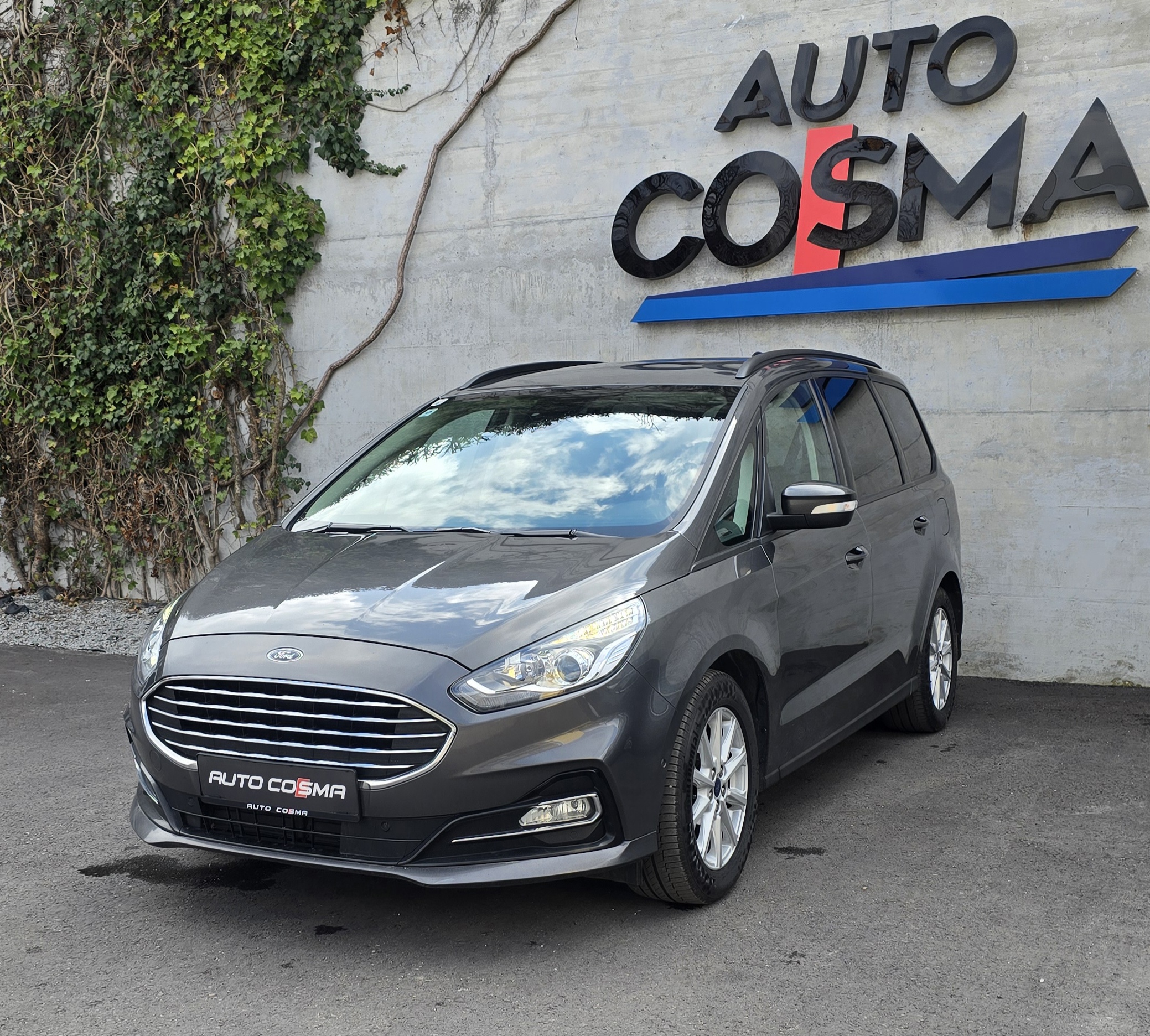 Ford Galaxy Trend /KAMERA/AHK/